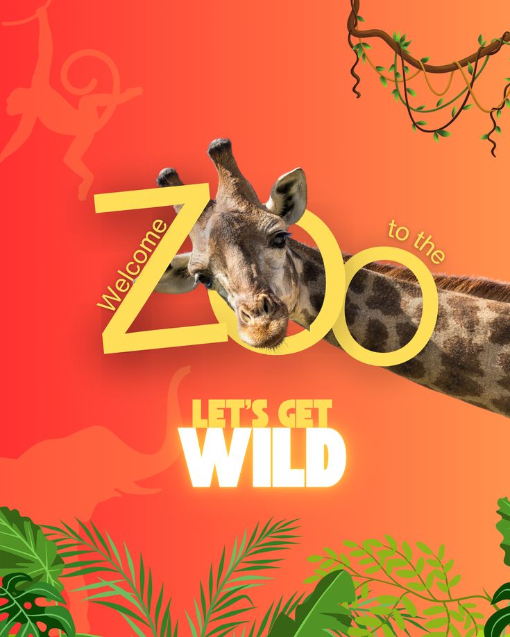 Zoo Intro